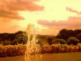 /album/naturaleza/naturaleza-viva-jpg/